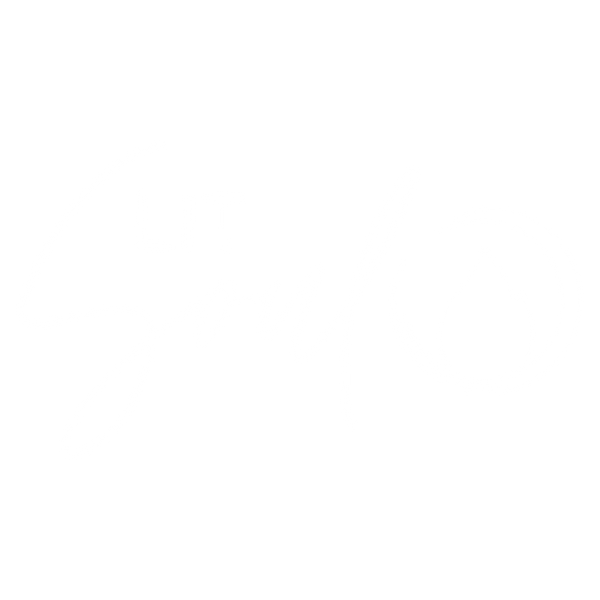 Lit Soul Collective